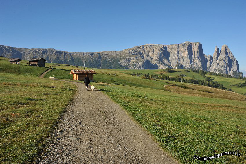 009 Alpe di Siusi - Altopiano dello Sciliar.JPG